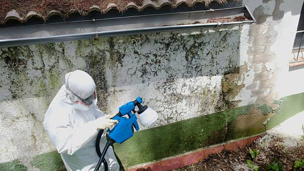 Trusted Bathroom Mold Removal service in Odenton, MD - Cheap Mold Removal